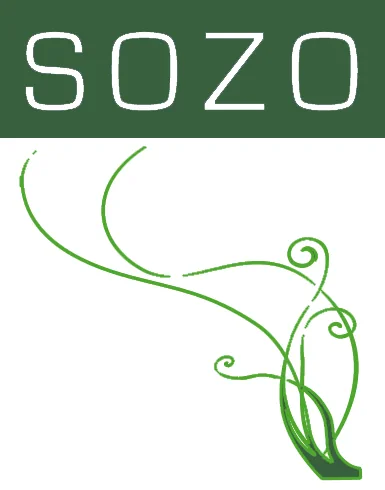 SOZO